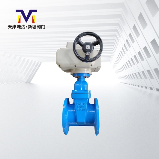 電動(dòng)暗桿橡膠閘閥