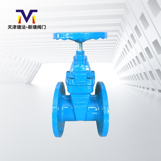 德標(biāo)F4軟密封閘閥