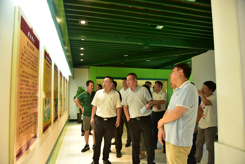 市政分公司黨總支、合肥市重點局直屬黨委第二黨支部聯(lián)合開展主題黨日活動3