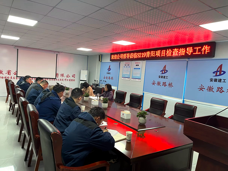 公司黨委委員、紀委書記王鵬到S219青陽改建項目調(diào)研指導(dǎo)工作